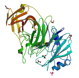 Die native Kristallstruktur von endo-1,5-alpha-l-arabinanases aus Bacillus subtilis
