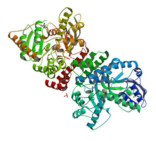 Die Kristallstruktur der Galakturan 1,4-alpha-Galakturonidase von Bacillus subtilis.