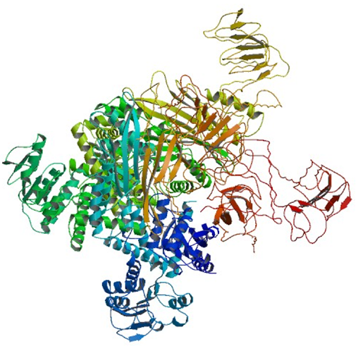 Enzymaktivitätsmessung für Glutamatdehydrogenase