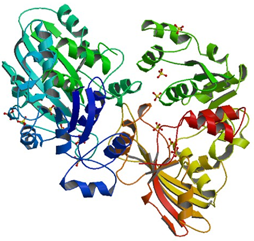 Enzymaktivitätsmessung für Glycerinaldehyd-3-phosphat-Dehydrogenase (phosphorylierend)