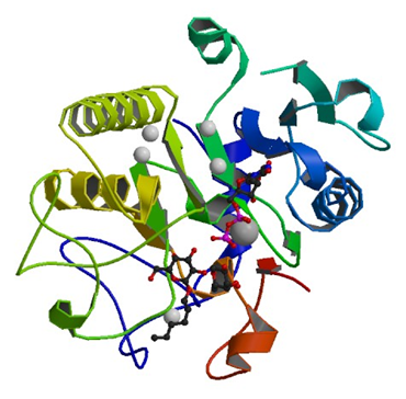 Enzymaktivitätsmessung der Glycoprotein-Fucosylgalactosid alpha-N-acetylgalactosaminyltransferase