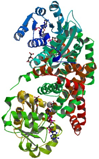 Enzymaktivitätsmessung für Ketol-Säure-Reduktorisomerase (NADP+)