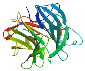 Enzymaktivitätsmessung von Galaktan 1,3-Beta-Galaktosidase