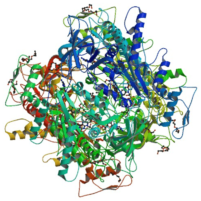Enzymaktivitätsmessung für Pyranose-Oxidase unter Verwendung spektrophotometrischer Assays