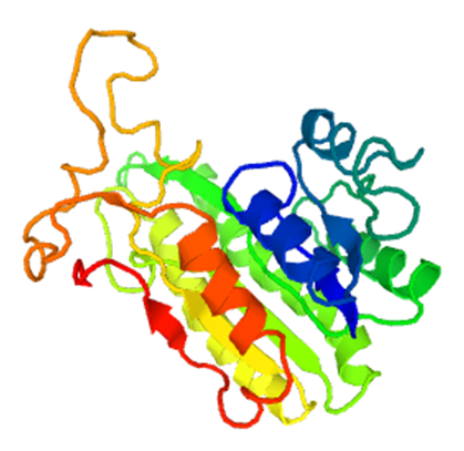 Enzymaktivitätsmessung für Sorbitol-6-Phosphat 2-Dehydrogenase
