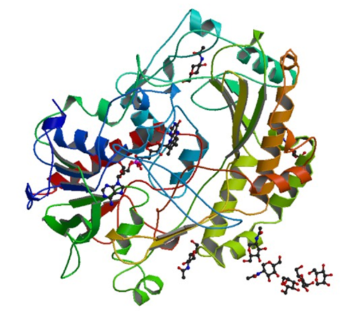 Enzymaktivitätsmessung für Glukoseoxidase