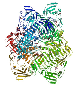 Enzymaktivitätsmessung für Xylan 1,4-Beta-Xylosidase 