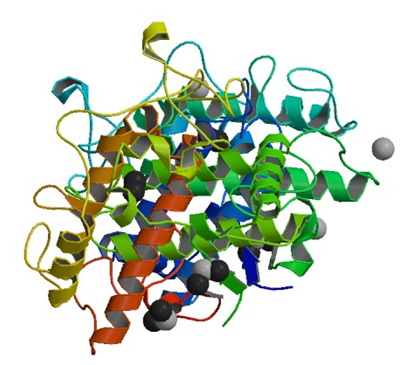 Die Kristallstruktur der Tyrosinase von Bacillus megaterium