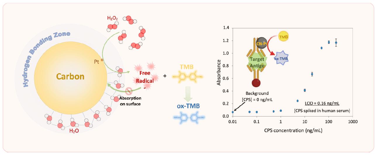 Einführung der lizenzierten CN-Pt Nanozyme-Technologie: Revolutionierung der diagnostischen Sensitivität