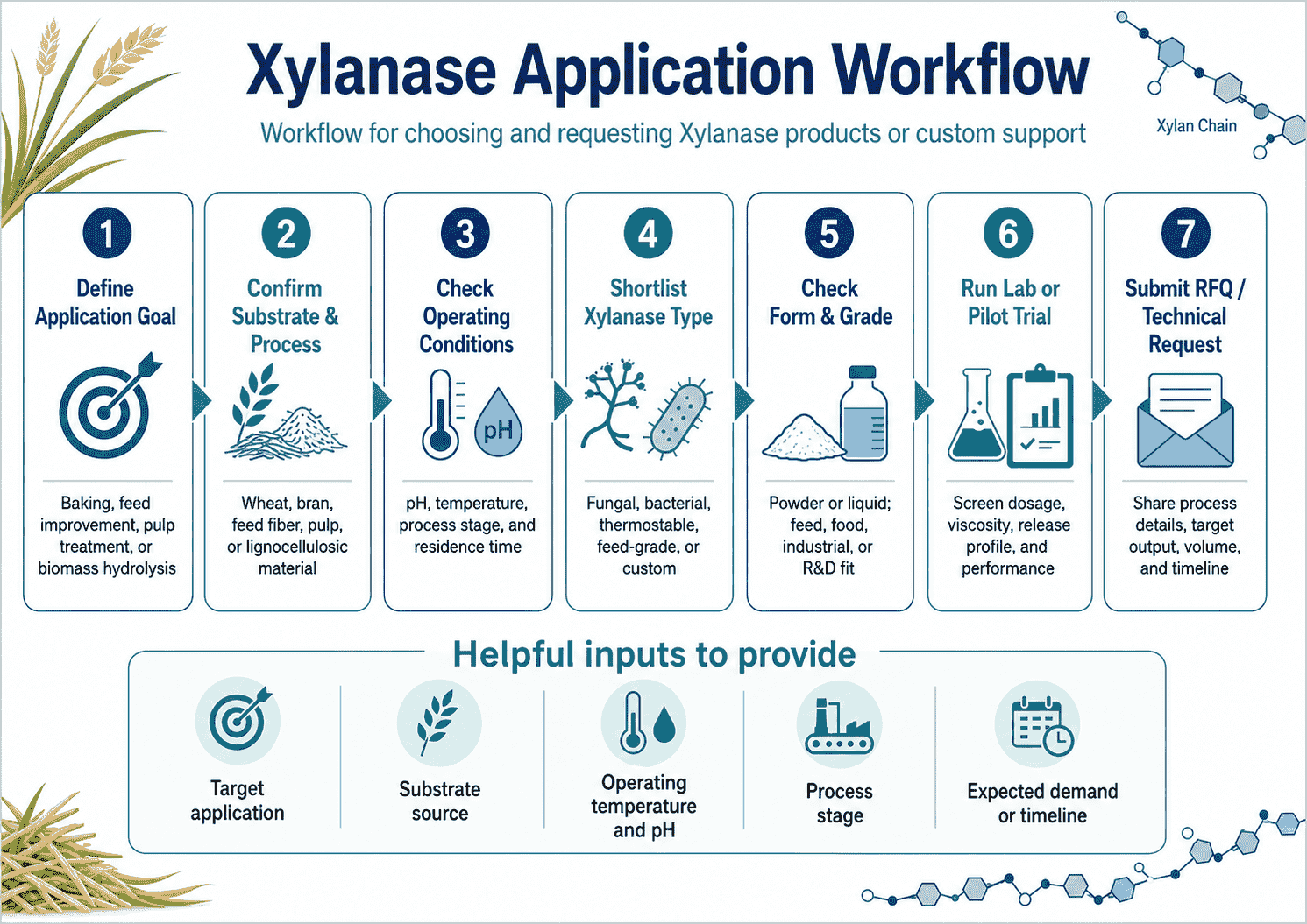Application workflow for choosing and requesting Xylanase products or custom support