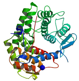Enzymaktivitätsmessung der Oligosaccharid-reduzierenden End-Xylanase